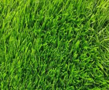 Трава искусственная Шри Ланка h-40мм 3,0м